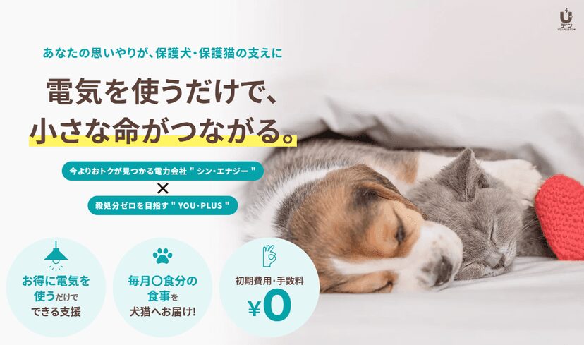 当社は新電力販売を始めました！